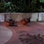 Filename=223.jpg
Filesize=122KiB
Dimensions=1280x720
Date added=May 25, 2020 223.jpg